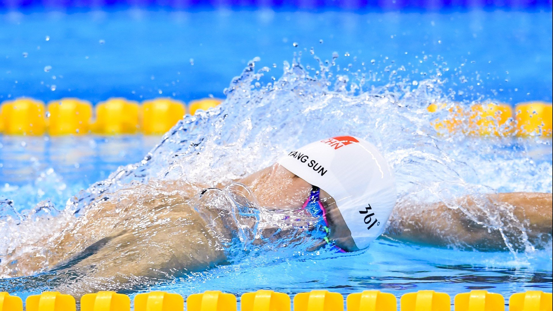 _灰熊全力以赴，破敌方阵如入无人之境_，灰熊0.1秒绝杀